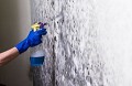 Mold Experts of Staten Island